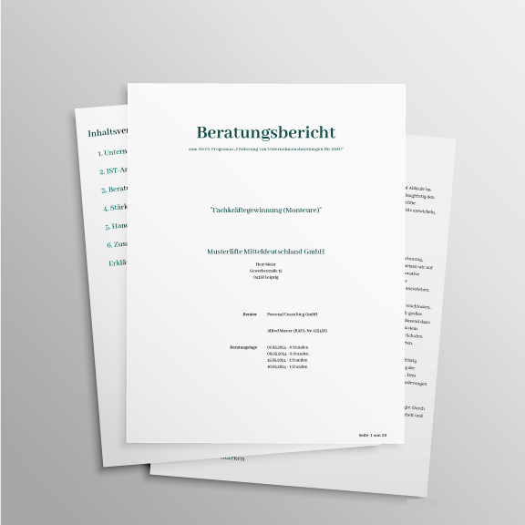 Beispiel eines Musterberichts als Vorlage für einen BAFA-Beratungsbericht