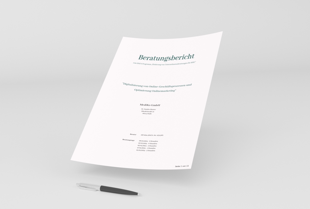 Beispiel für einen BAFA-Beratungsbericht als PDF-Vorlage mit typischer Berichtsgliederung